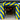 Luftballongirlande im Einkaufszentrum