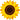 Sonnenblume Luftballon