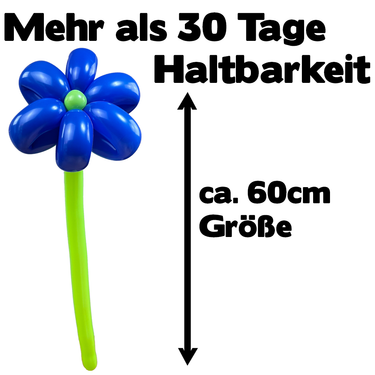 Luftballon Blume Blau