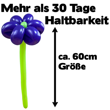 Luftballon Blume Lila