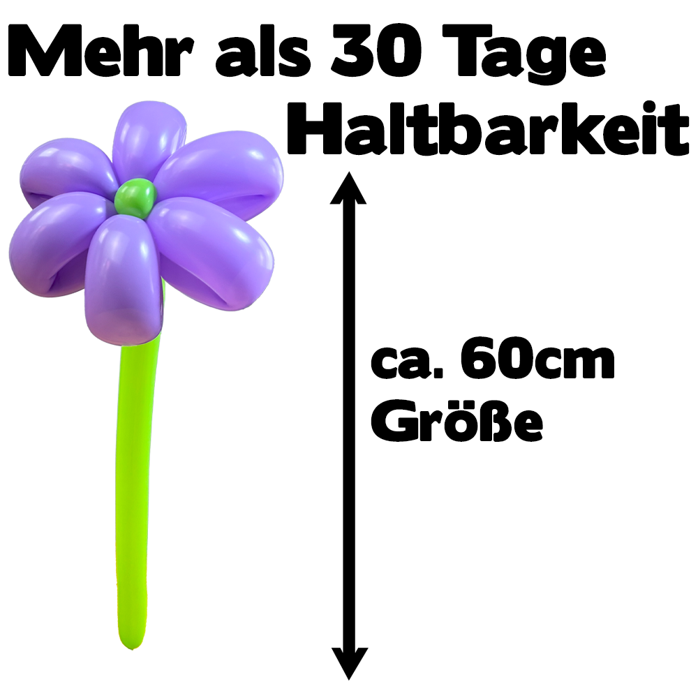 Luftballon Blume Lilac