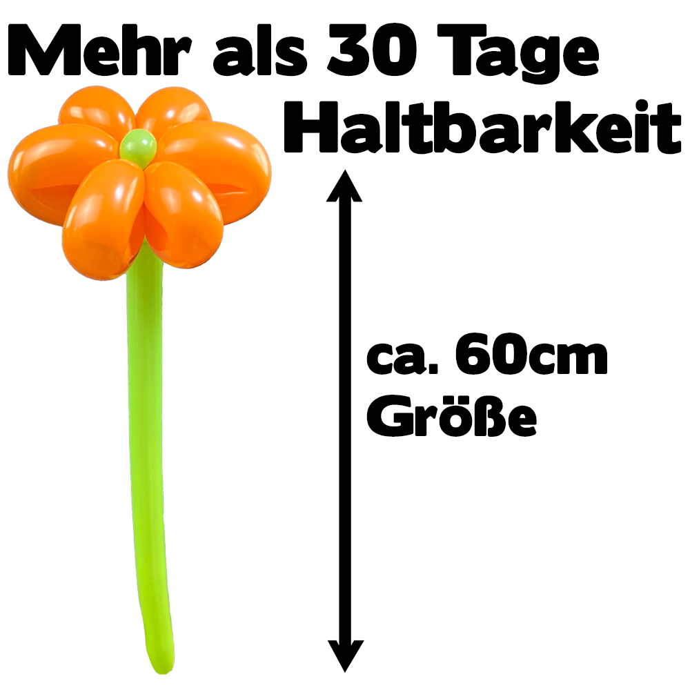 Luftballon Blume Orange