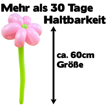 Luftballon Blume Rosa