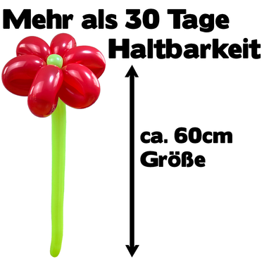 Luftballon Blume Rot